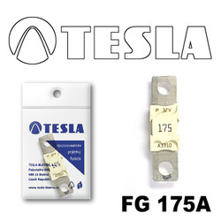  Tesla  MEGA 175A