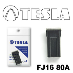  Tesla    FJ16 80 |  FJ1680A
