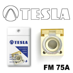  Tesla   FM  75A