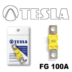 Tesla  MEGA 100A |  FG100A