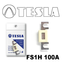  Tesla     100 |  FS1H100A
