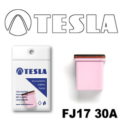  Tesla    FJ17 30 |  FJ1730A