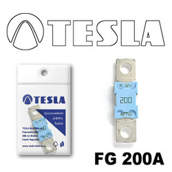  Tesla  MEGA 200A |  FG200A
