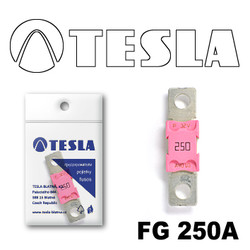  Tesla  MEGA 250A |  FG250A