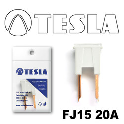  Tesla    FJ15 20 |  FJ1520A