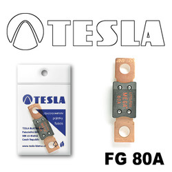  Tesla  MEGA 80A |  FG80A