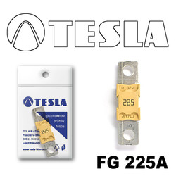  Tesla  MEGA 225A |  FG225A